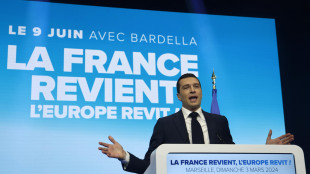 Rassemblement National, non siederemo pi&ugrave; con l'Afd