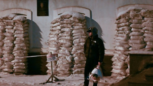 Kreml best&auml;tigt Trump-Bitte um begrenzte Feuerpause - Kiew bereit zu Waffenruhe im Energiebereich