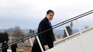 Rubio visits Trump's 'friend' Orban ahead of Hungary polls