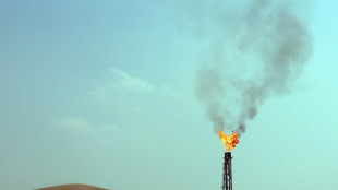 L'Allemagne conclut un accord &eacute;nerg&eacute;tique avec le Qatar