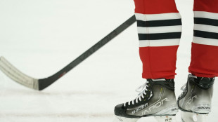 Aufregung vor deutschem WM-Spiel gegen D&auml;nemark