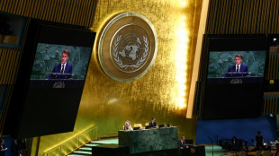 Francia y varios países reconocen el "Estado de Palestina" desde el podio de la ONU