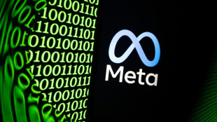 Un magnat australien poursuit Meta pour briser son immunit&eacute; sur les publicit&eacute;s frauduleuses