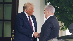 Trump ringrazia Netanyahu per aver accettato piano pace