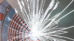 Le leggi della fisica confermate dalla particella creduta ribelle