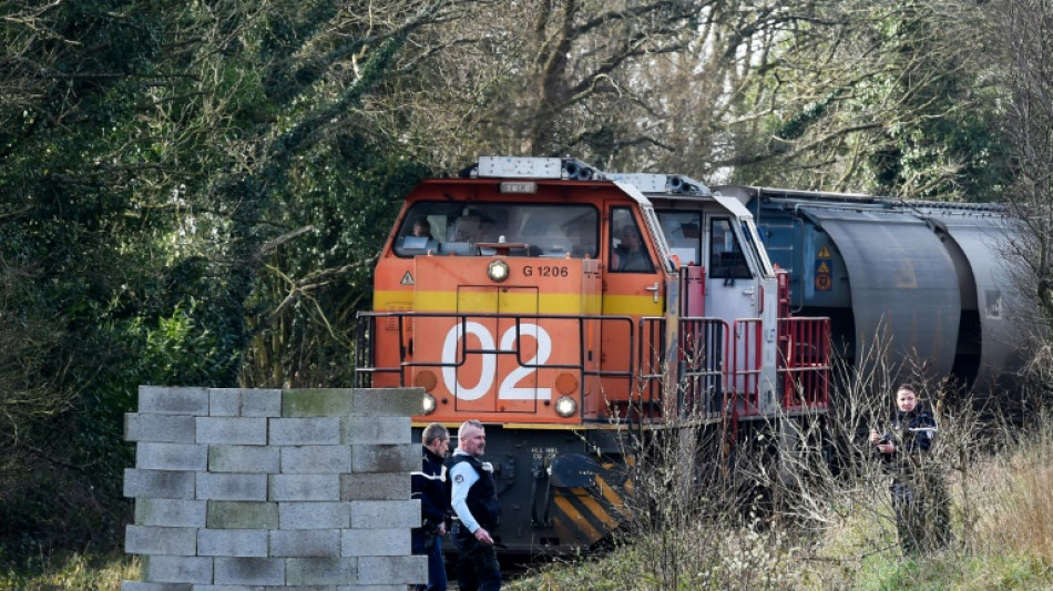 Agro-industrie: "plusieurs plaintes" apr&egrave;s le blocage dans le  Morbihan d'un train pour l'alimentation animale