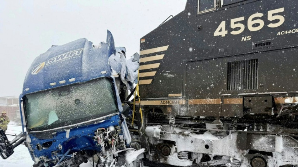 Temp&ecirc;te aux Etats-Unis: les transports d&eacute;sorganis&eacute;s, des iguanes tombent des arbres