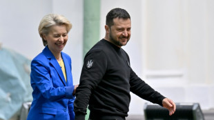 Zelensky critica restri&ccedil;&otilde;es para cereais ucranianos em pa&iacute;ses europeus
