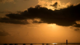 Una peruana detenida en Bali por tratar de pasar cocaína en un juguete sexual