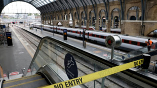 Royaume-Uni: nouvelle gr&egrave;ve des trains en pleine crise du pouvoir d'achat