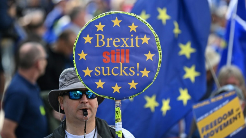 Pro-EU supporters march for Britain to rejoin bloc 