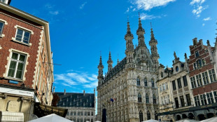 Belgisches Löwen wird eine von drei europäischen Kulturhauptstädten 2030