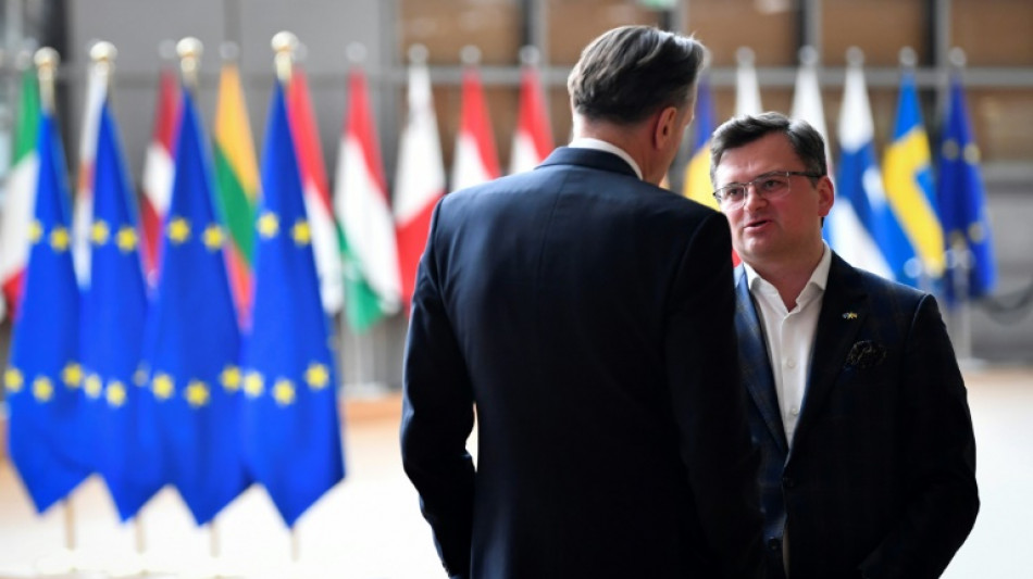 Ucrania lamenta bloqueo h&uacute;ngaro a un embargo europeo al petr&oacute;leo ruso
