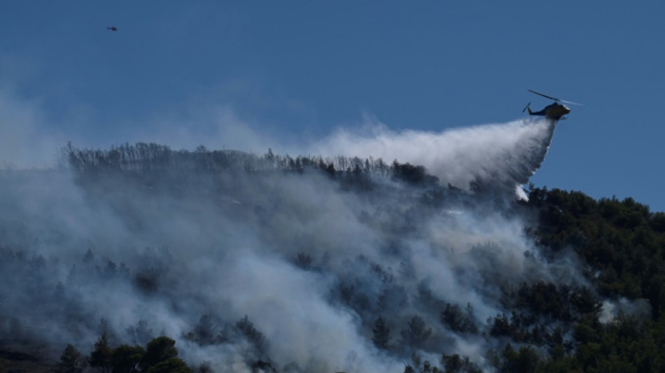 Greece fights dozens of wildfires in 'most difficult day of year'