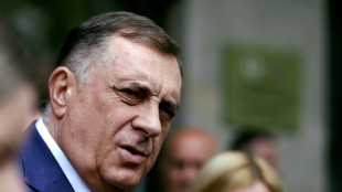 Bosnia's Serb statelet calls referendum on verdict against leader
