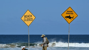 Ataque de tubarão deixa um morto e outro ferido na Austrália