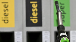 Union und SPD werfen Mineral&ouml;lwirtschaft Erpressung vor