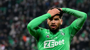 L1/Saint-Etienne: Camara &eacute;cart&eacute; du groupe pro apr&egrave;s une altercation