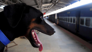 I cani viaggiano gratis su Frecce e Intercity fino al 15/9