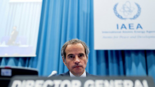 Rusia y Ucrania est&aacute;n "dispuestas" a trabajar sobre seguridad nuclear (OIEA)