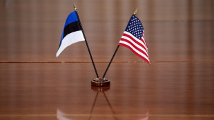 'Il Pentagono all'Europa, meno assistenza ai Baltici'