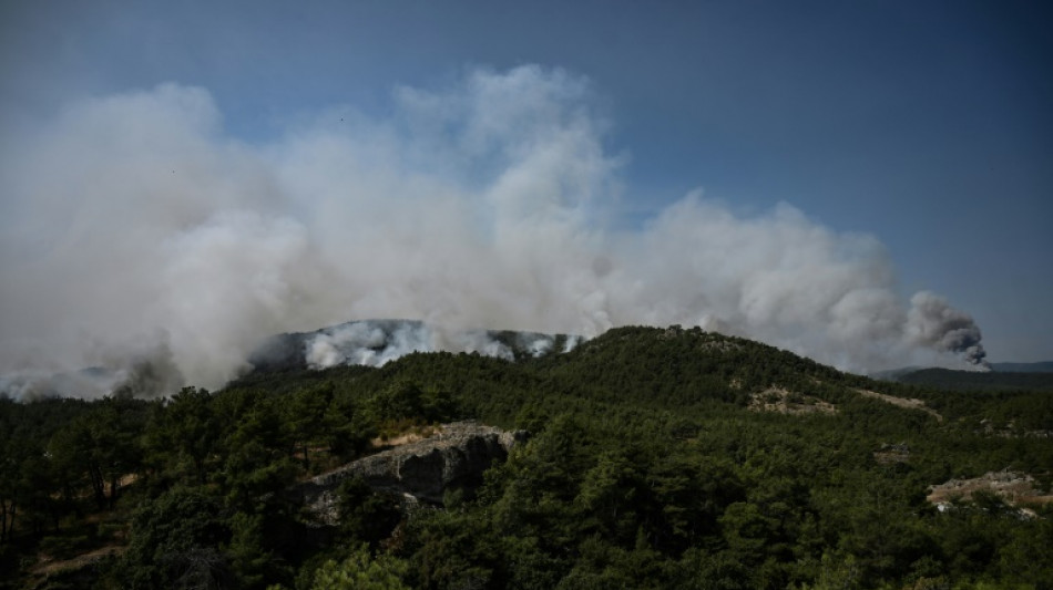 Sigue fuera de control el incendio del parque nacional de Dadi&aacute;, en Grecia