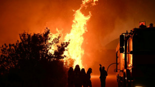 Griechische Feuerwehr dämmt Waldbrände vor drittgrößter Stadt Patras ein