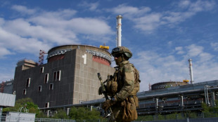 Verbindung zwischen Akw Saporischschja und Atombeh&ouml;rde IAEA wiederhergestellt