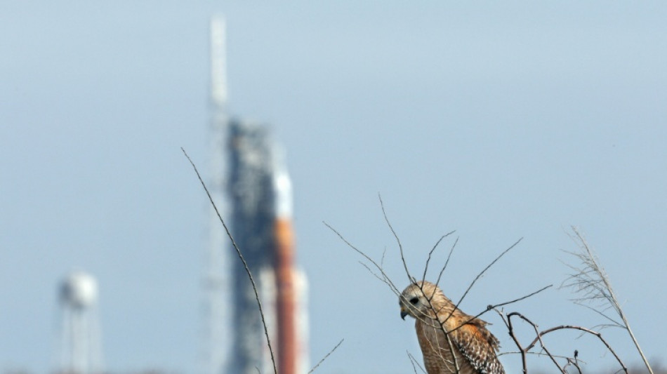 La NASA regresa el cohete lunar a su hangar para unas reparaciones