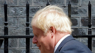 Boris Johnson part "la t&ecirc;te haute", premier vote pour lui succ&eacute;der