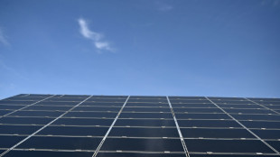 Energie: essor rapide des renouvelables, la demande de pétrole se stabilise "vers 2030", selon l'AIE