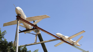 Yemen, 'Iran vuole spostare suo arsenale in zone sotto Houthi'