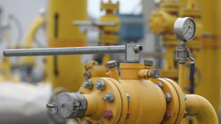 Il gas chiude in forte rialzo (+6%) a 46 euro al Megawattora