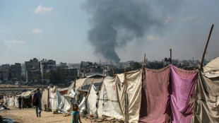Gaza: le Hamas et Israël reprennent les négociations indirectes, Netanyahu va rencontrer Trump