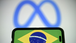 Especialistas da ONU pedem que Meta proteja liberdade de express&atilde;o durante elei&ccedil;&otilde;es no Brasil