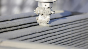 Dal cuore al polpo, c'è una stampa 3D che unisce più materiali