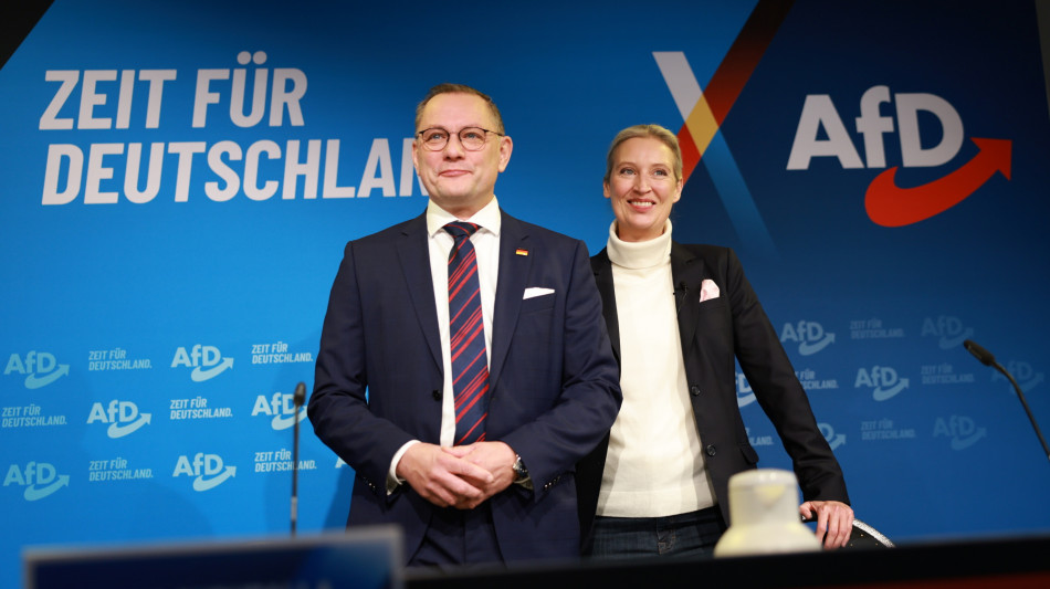 Media, Afd fa ricorso contro i Servizi in Germania