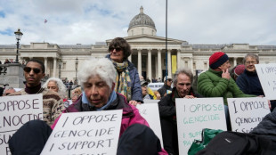 Scores arrested at pro-Palestinian rally in London