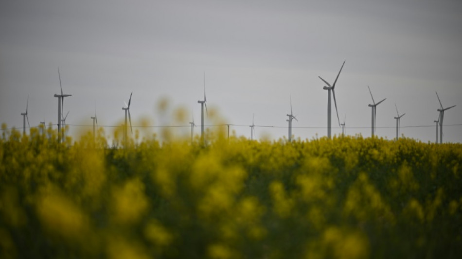 Pflicht zu B&uuml;rgerbeteiligung an Windparks in Mecklenburg-Vorpommern verfassungsgem&auml;&szlig;