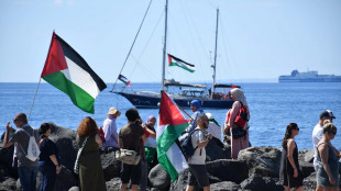 Nave di Gaza Flotilla a Katz, 'avanti fino all'ultimo minuto'
