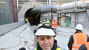 Torino-Lione: Bufalini, in piena costruzione per i dieci anni di Telt