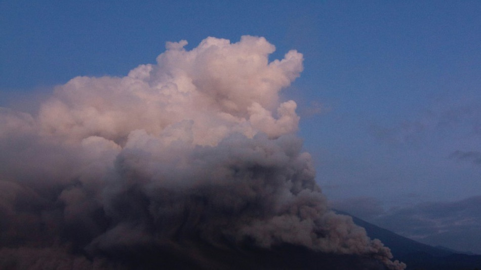 Alerta m&aacute;xima por el volc&aacute;n del Monte Semeru en Indonesia