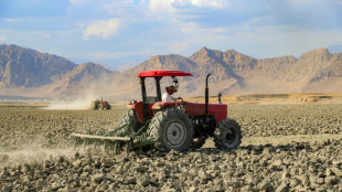 La recrudescence des chaleurs extr&ecirc;mes pousse l'agriculture mondiale "&agrave; bout"