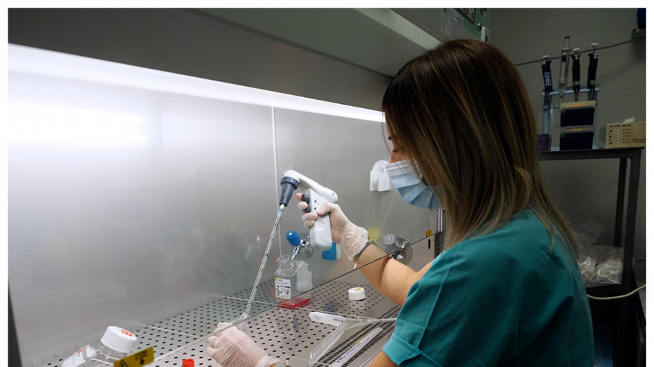 Pronte nuove molecole anti-cancro, uccidono le cellule più forti