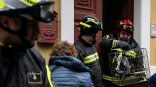 Rescatistas socorren loros en una ciudad siciliana afectada por un deslave