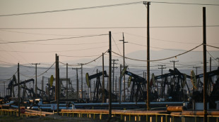 Los pa&iacute;ses ricos sacar&aacute;n de sus reservas 120 millones de barriles de petr&oacute;leo