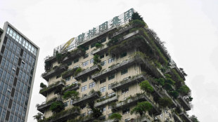 Grupo imobili&aacute;rio chin&ecirc;s Country Garden em queda expressiva na Bolsa e preocupa mercados