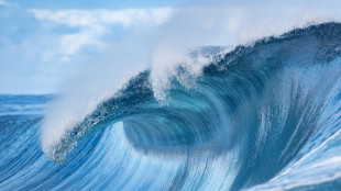 Teahupoo: la vague &agrave; lames