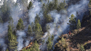 Roghi in Spagna, emissioni record carbonio, fumo in Scandinavia