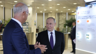 Putin non parteciper&agrave; al vertice del G20 in Brasile